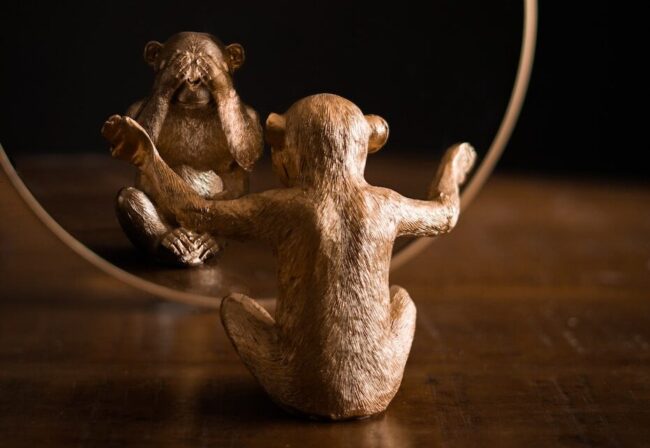 Ornamental statuette in form of macaque reflecting differently in mirror on wooden table at home