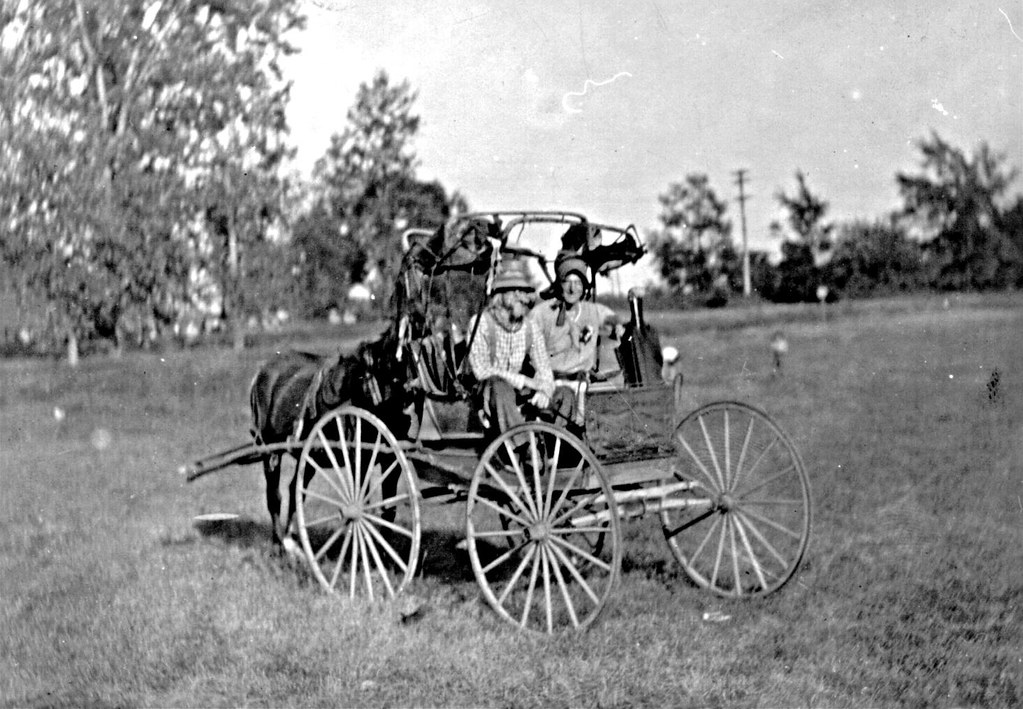 The Cart Before the Horse = A Runaway Horse Alaska Senate Minority